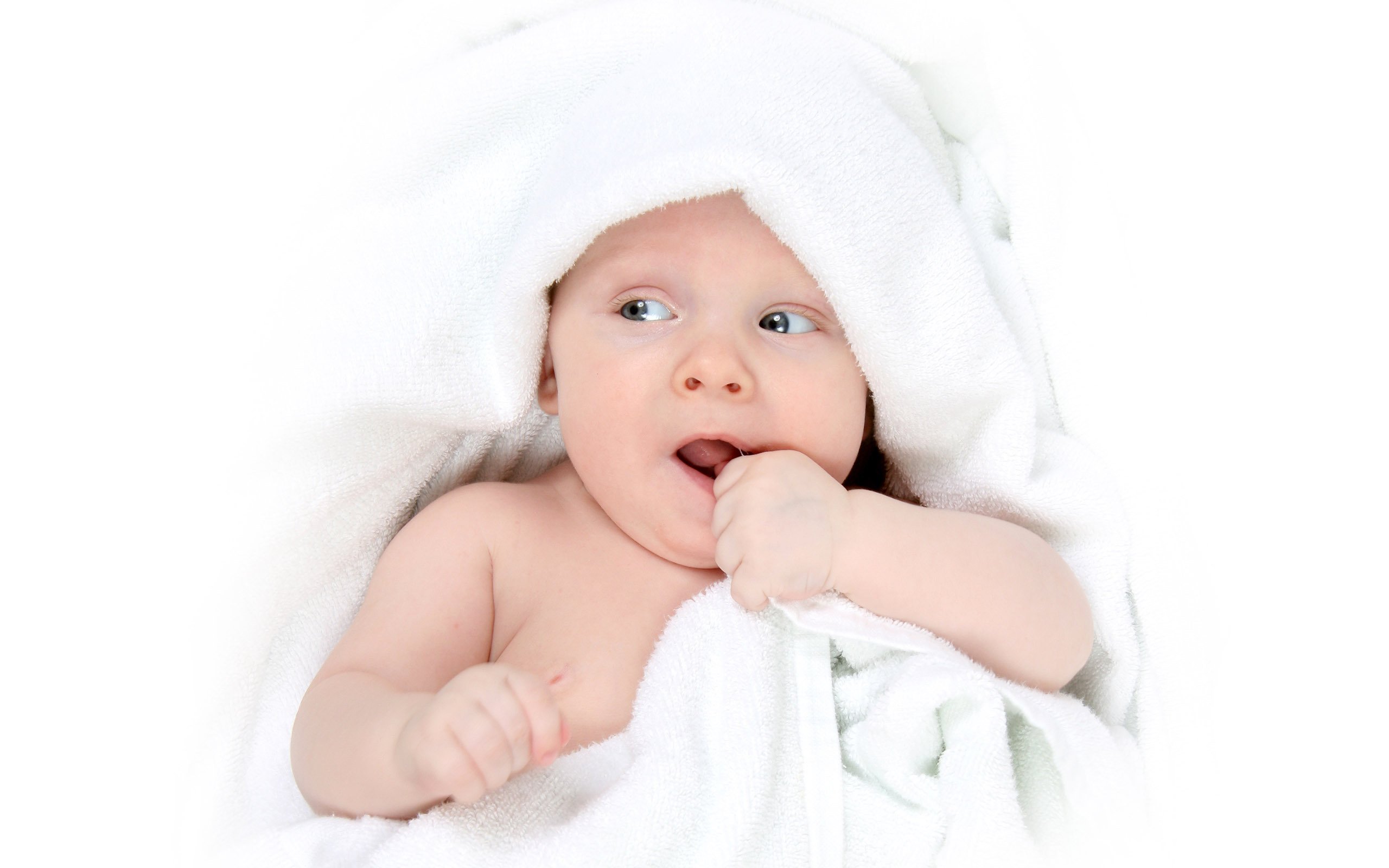大连供卵代怀试管婴儿双胞胎成功率